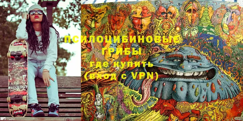 Галлюциногенные грибы Magic Shrooms  Боровск 